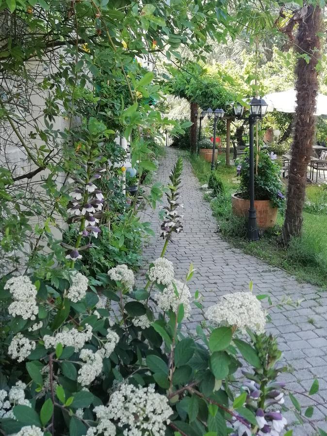 Гостевой дом La Mirabelle-Casteil Country House Экстерьер фото